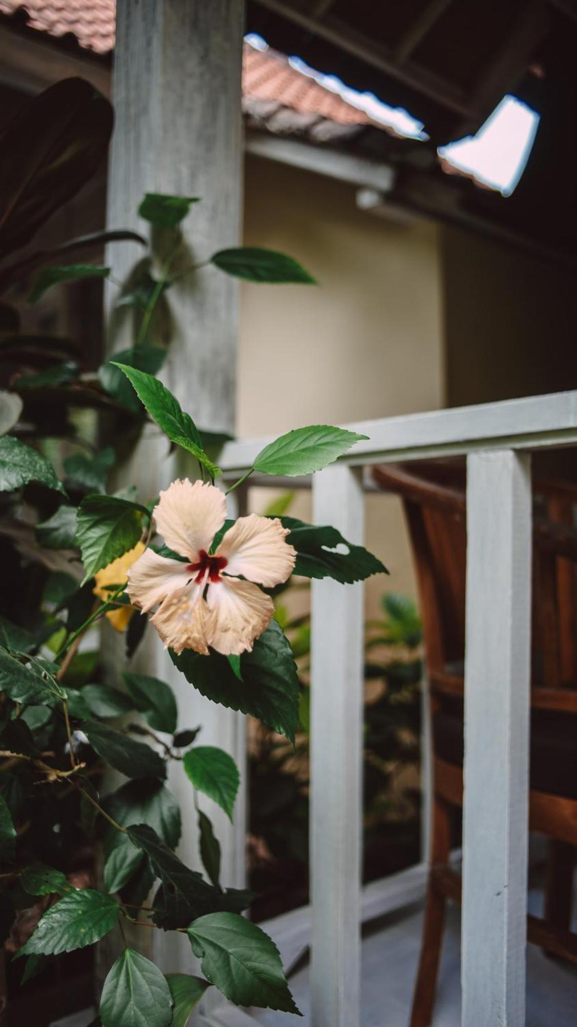 The Lucky Cottage Nusa Lembongan  Ngoại thất bức ảnh